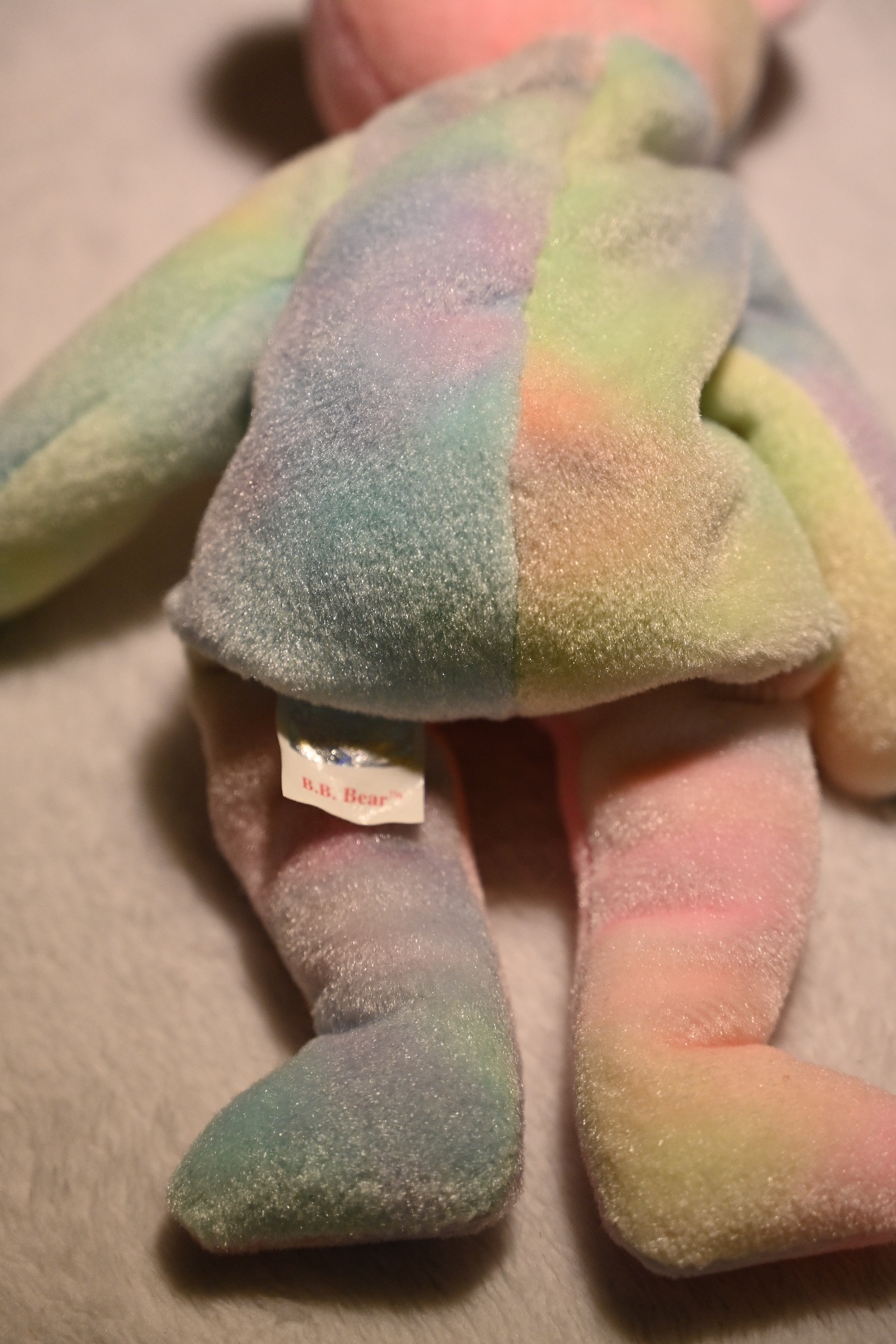 B.B. Bear — photo 3