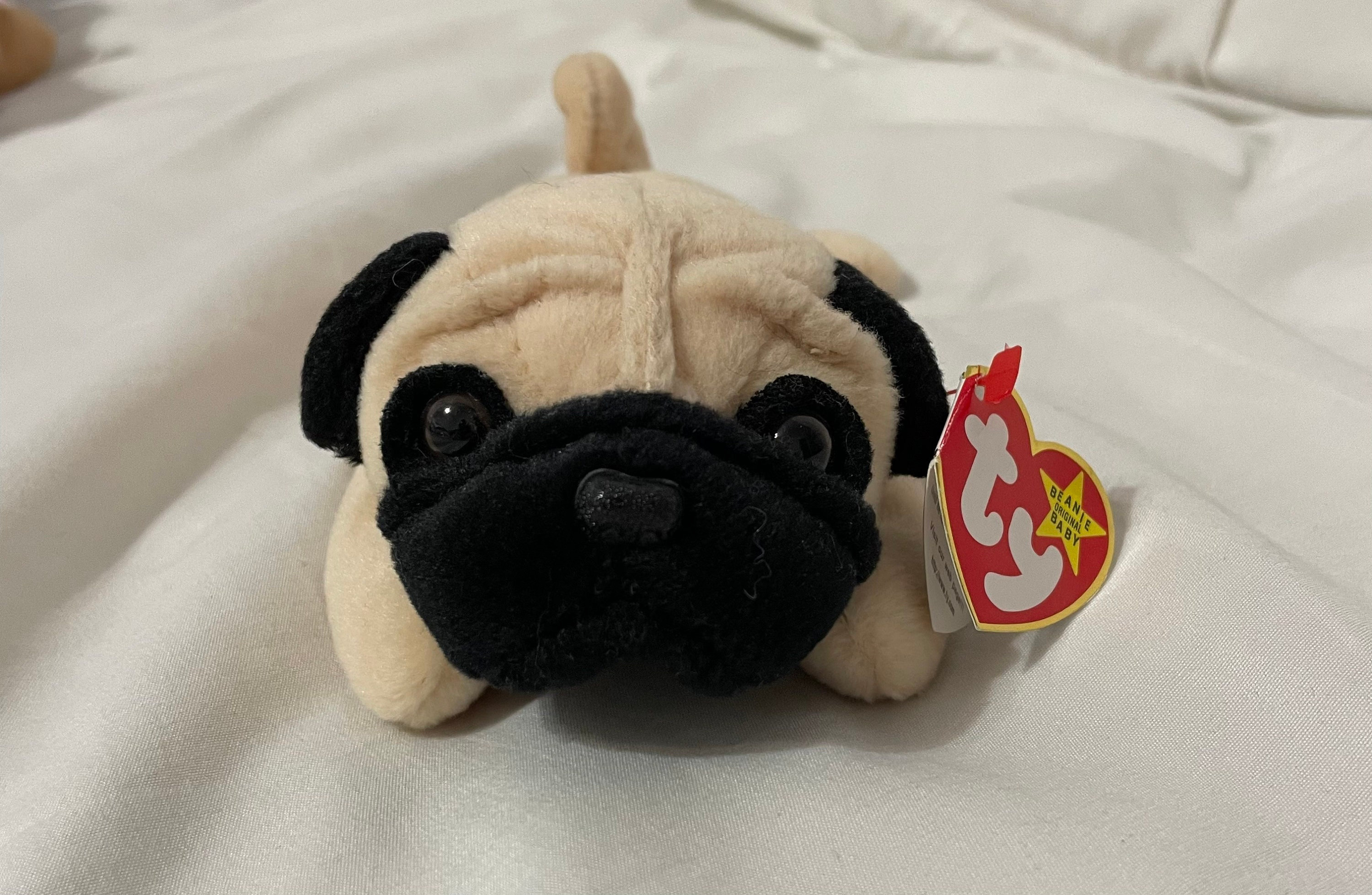 Pugsly