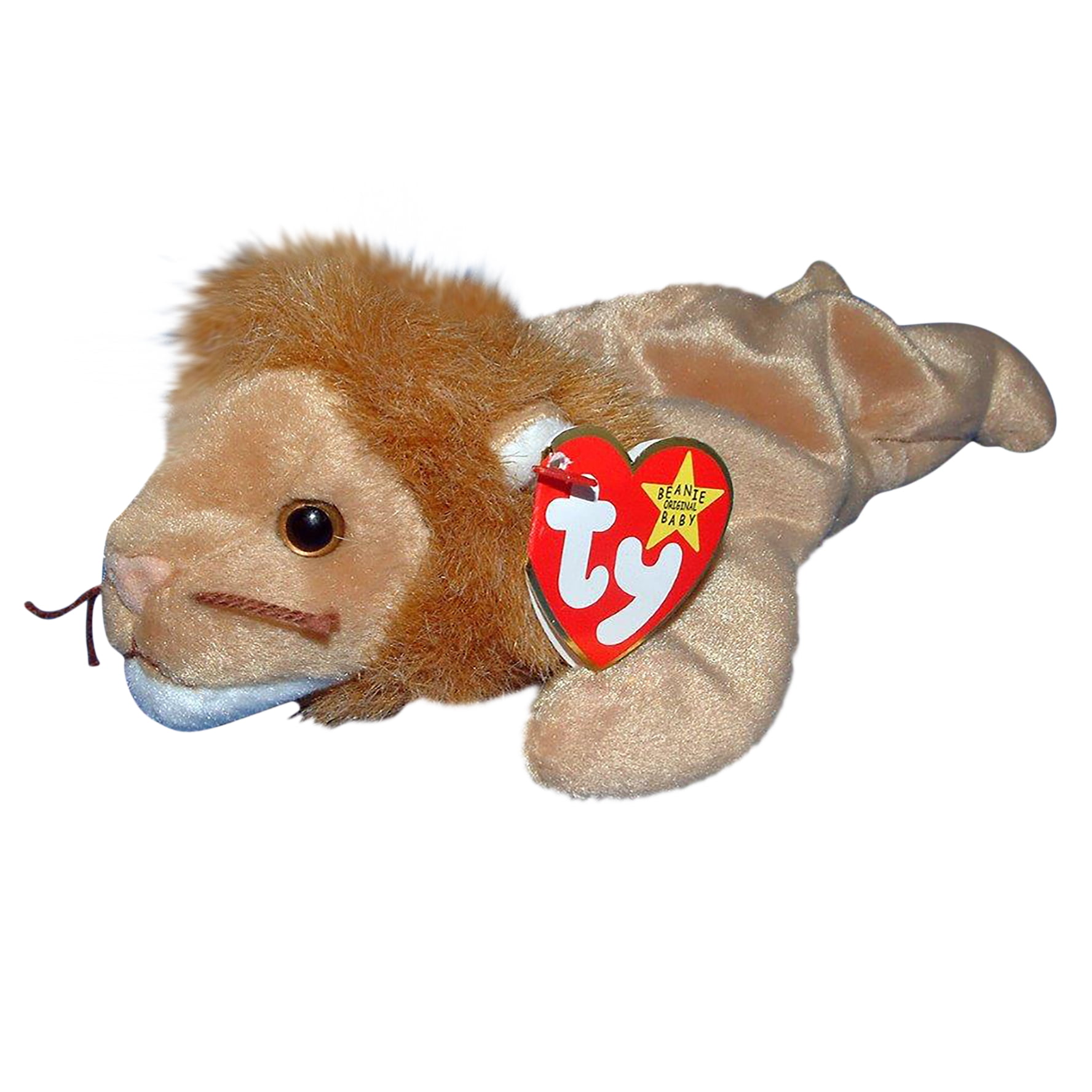 Roary