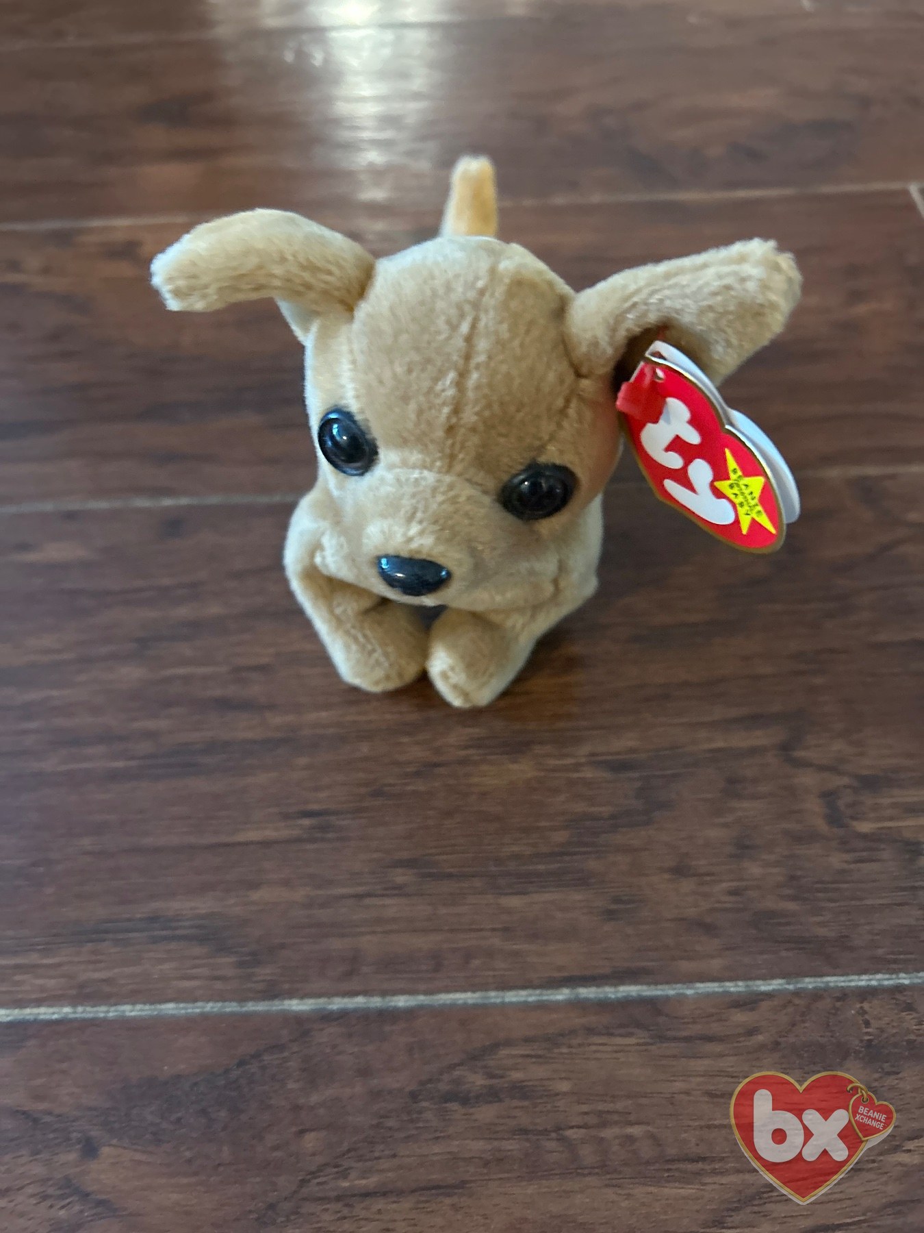 Sparky